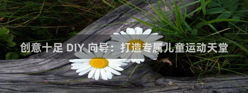 意昂体育3招商电话号码是多少号：创意十足 DIY 向