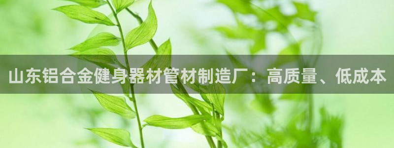 意昂体育3招商：山东铝合金健身器材管材制造厂：高质量