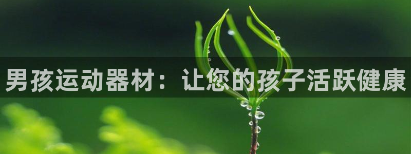 意昂体育3是干嘛的公司：男孩运动器材：让您的孩子活跃